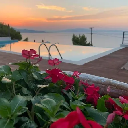 Amalia Βίλα Θεολόγος