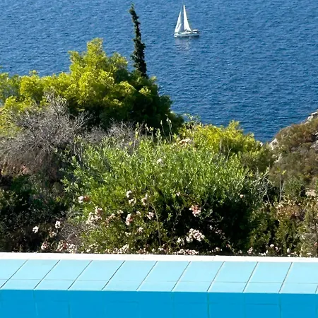 Amalia Θεολόγος